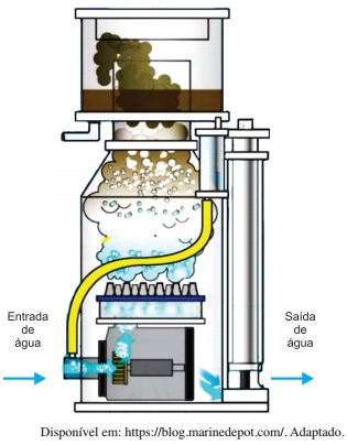 2021 Agua De An