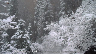Zion National Park - Snow