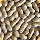 Ground-Nuts
