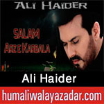 http://www.humaliwalayazadar.com/2012/11/ali-haider-nohay-2009-2013.html