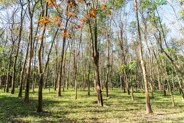 Bilu Gyun - Mawlamyine - Myanmar Birmanie