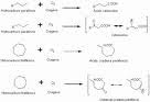 Mantenimiento y diagnostico del sistema de combustible