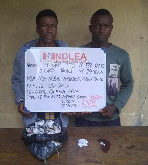 NDLEA Discovered 442 Parcels Of Crystal Meth