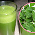 See What Happens to Your Body When You Drink Moringa Everyday