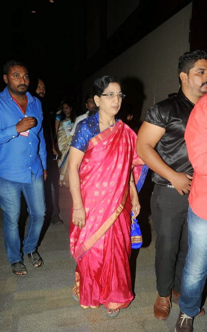 desipixer