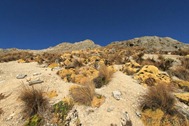 IMG_5807