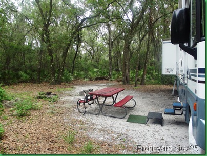 Smoothie, moffitt #3 and site 89 028