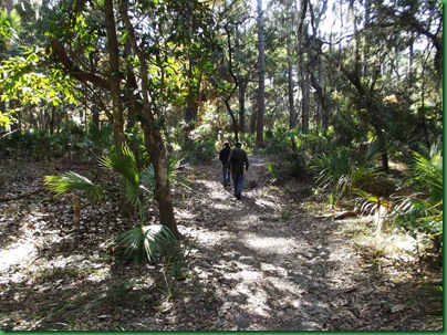 Magnolia, maritime, lighthouse trails 006
