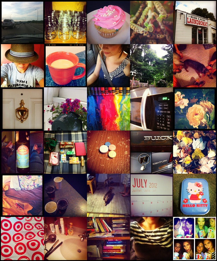 photoadayjune