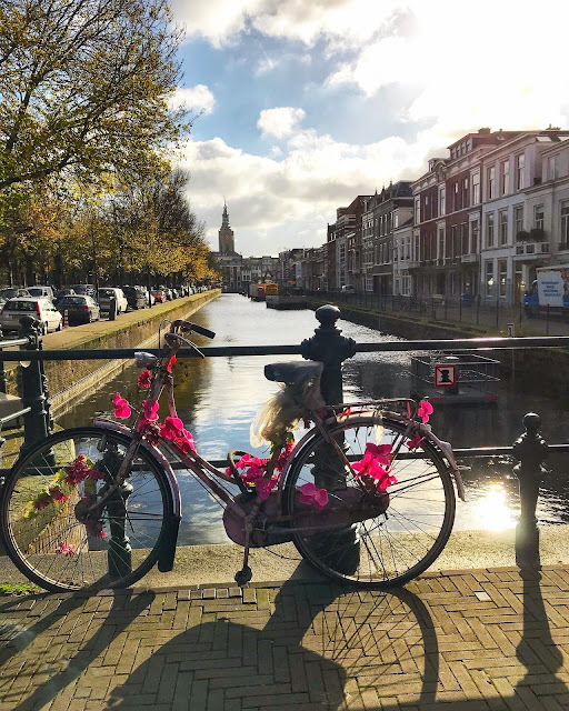 beautifully decorated floral bike overlooking canal in The Hague Netherlands