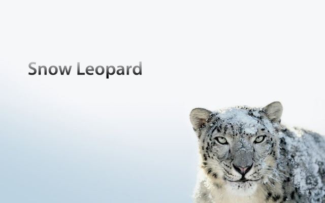 Mac OS X Snow Leopard 10.6 Download ISO and DMG file Direct