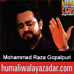 https://www.humaliwalayazadar.com/2019/09/mohammad-raza-gopalpuri-nohay-2020.html