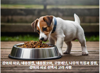 강아지-사료,-네츄럴랩,-네츄럴코어,-로얄캐닌,-나우의-특징과-장점,-강아지-사료-선택시-고려-사항-썸네일