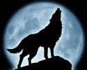 Moon wolf