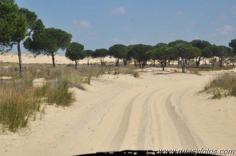 Parque Nacional de Doñana