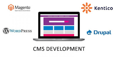 cms web application development services