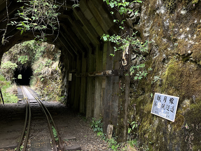 嘉義,阿里山,眠月線,沼平車站