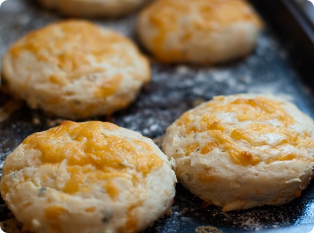 SageCheddarSconesBaked