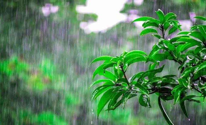 Himachal News :  हिमाचल मानसून अपडेट: जून की विदाई भारी बारिश के साथ, जानें आगे कैसा रहेगा मौसम