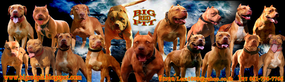 bigredpit