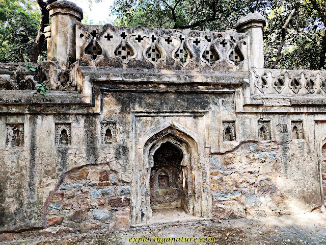 Bage Alam Ka Gumbad at Hauz Khash