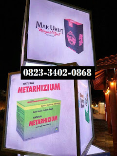 Jual METARHIZIUM Pembasmi Ulat