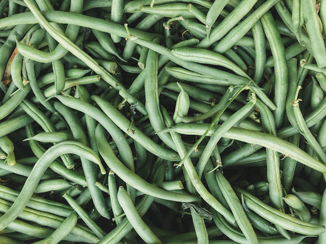 A large harvest of green beans on a table.