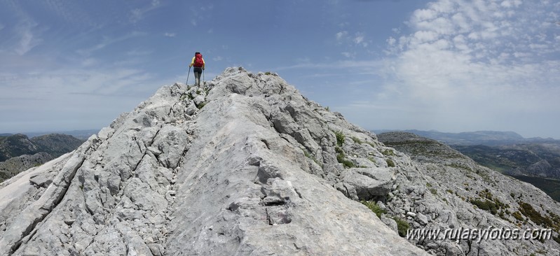 Nueve picos de la Sierra del Endrinal