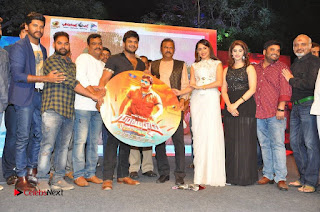 turodu Telugu Movie Audio Launch Stills  0022.jpg