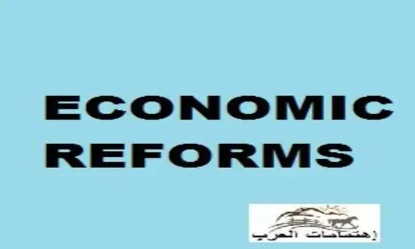 الإصلاح المالى والإصلاح الإقتصادى ولماذا لا يشعر المواطن بأى تحسن فى أحواله المعيشية؟