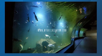Aquarium Indonesia pangandaran