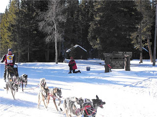 Sled Dog Race - Louis Lake, WY