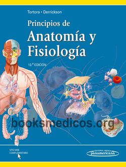 Principios de anatomia y fisiologia tortora 15 edicion pdf