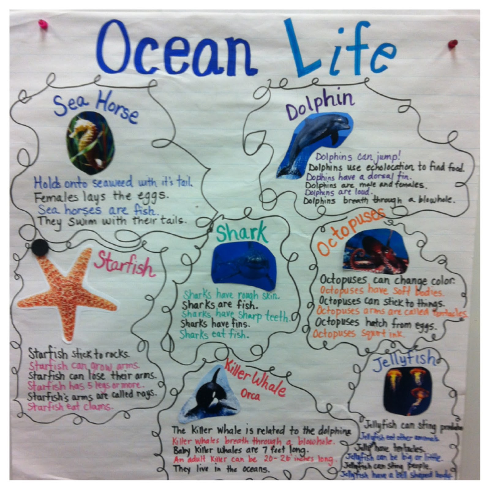 many non fiction books about animals that live in the ocean habitat ...