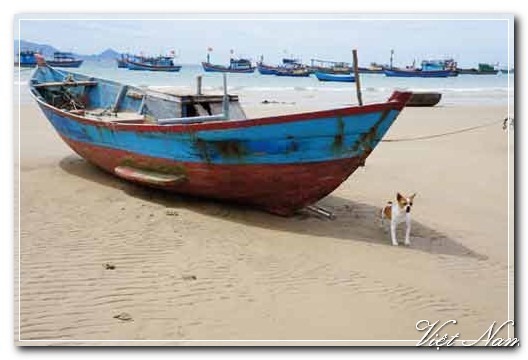 Cảnh Đẹp Việt Nam