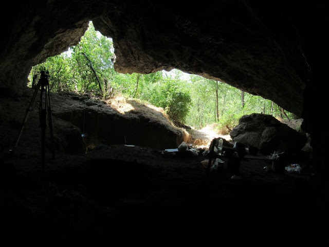 A Neanderthal tooth discovered in Serbia reveals human migration history