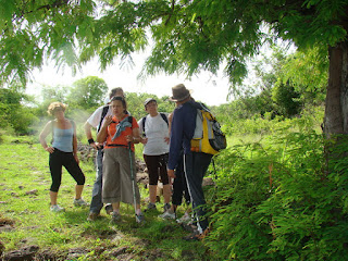 chemins pavés Association Espiègle la Réunion randonnée