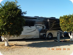 DSCN1363