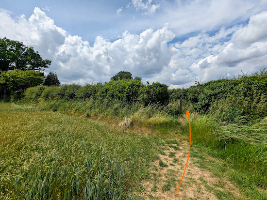 Go through the gap in the hedge then turn left on Porter's End Lane