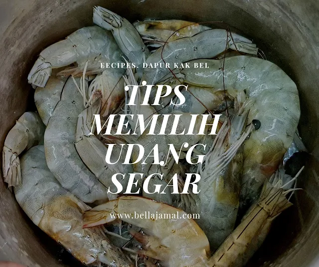 Tips Dan Cara Pilih Udang Segar