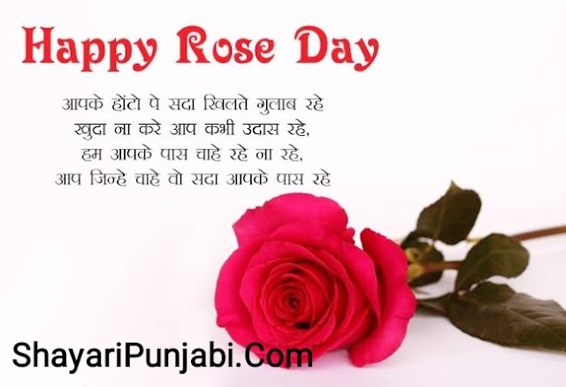 Happy Rose Day Shayari 2025🌹Gulab Day Shayari 2025