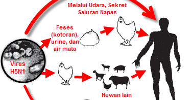 Peranan Virus dalam  Kehidupan  Manusia  katakita