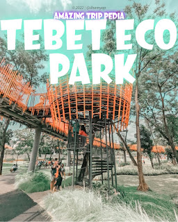 Tebet Eco Park Jakarta, Tiket Masuk, Jam Buka, Lokasi Dan Aktivitas [Terbaru]