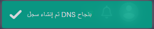 تم تعديل بيانات dns من اجل ربط الدومين