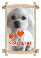 티티 포토갤러리입니다