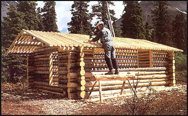 Building a shed cabin [] Shed Plan easy