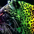 Colourful Cheetah 3D Magical Art Wallpaper