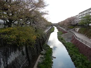 石神井公園までの道のり