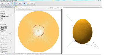 Samples and corresponding scan of an egg using the Volscan Profiler and Exponent software