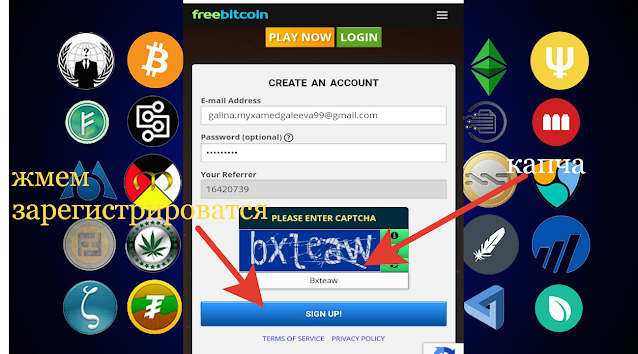 страница регистрации в проекте Freebitcoin